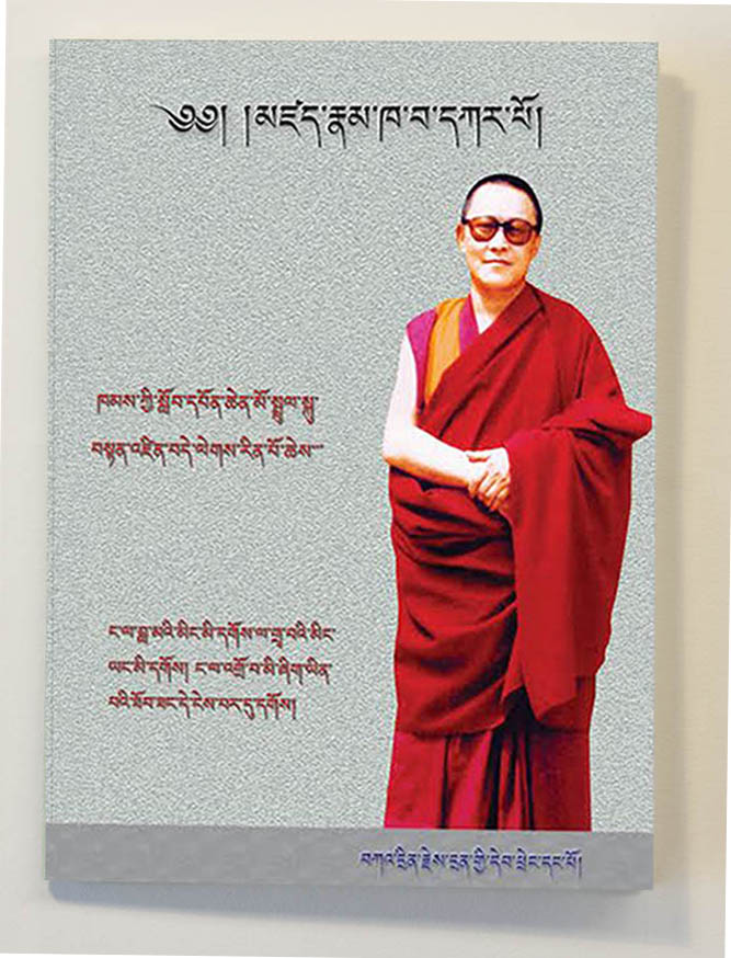 Tenzin Delek Rinpoche: 1 jaar later