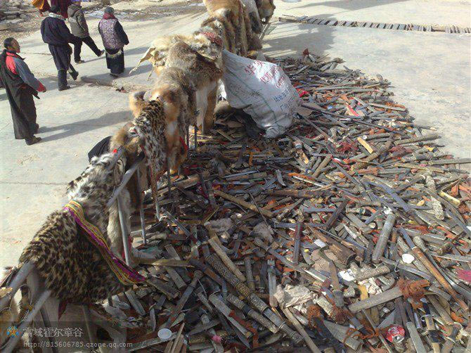 In a similar symbolic expression of non-violent intent, Tibetans have handed in knives to be destroyed along with wild animal pelts, in an area of eastern Tibet. This is also symbolic of a vow to quit internal strife and to stay united. The destruction and burning of wild animal furs as an expression of Tibetan loyalties was originally inspired by a statement made by the Dalai Lama during a major religious festival in India in 2006 in which he said he felt ashamed when he saw Tibetans wearing the pelts of endangered animals such as tigers or leopards.