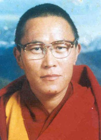Tenzin Delek Rinpoche: 1 jaar later