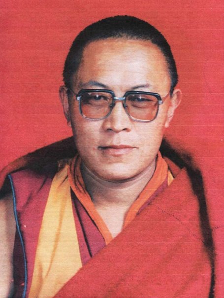 Tenzin Delek Rinpoche: 1 jaar later