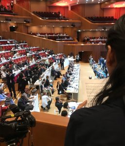 Tenzin Choekyi Krakau