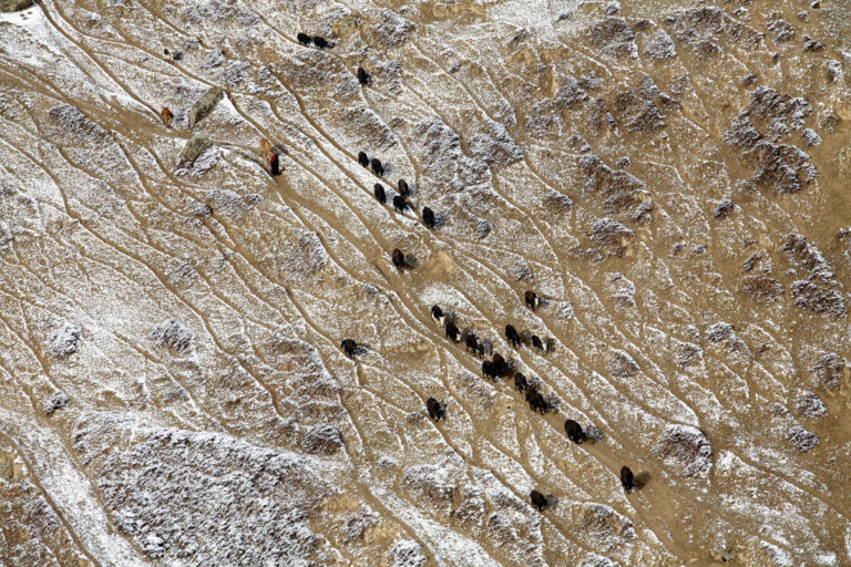 |Tibetan environment|